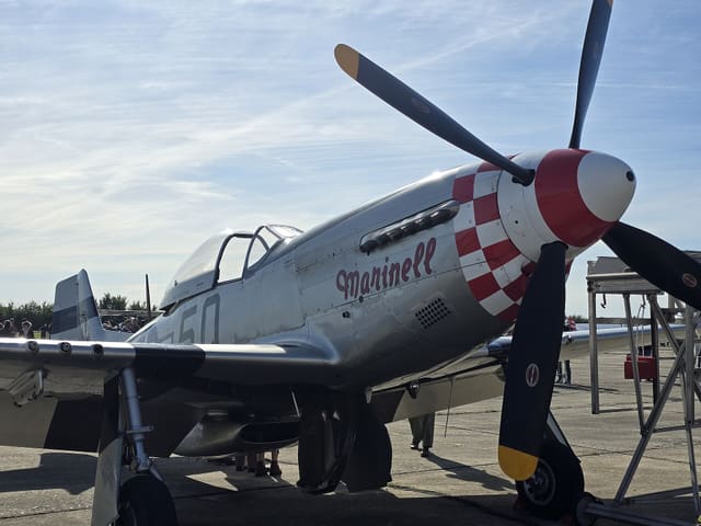  - Warbird