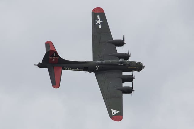  - Warbird