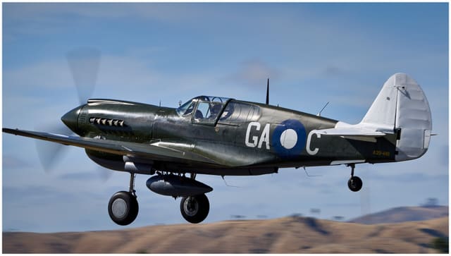  - Warbird