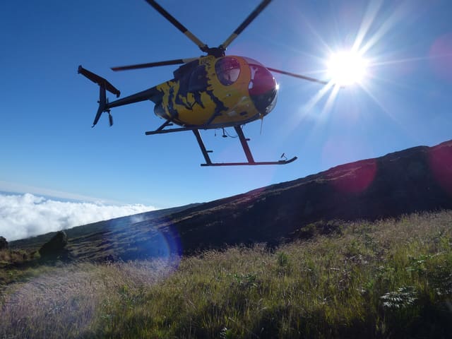 N58251 - Helicopter