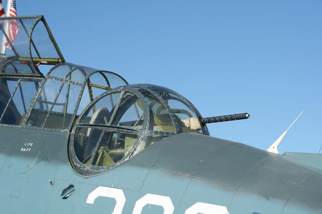 N53503 - Warbird