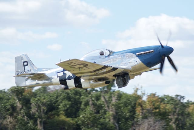  - Warbird