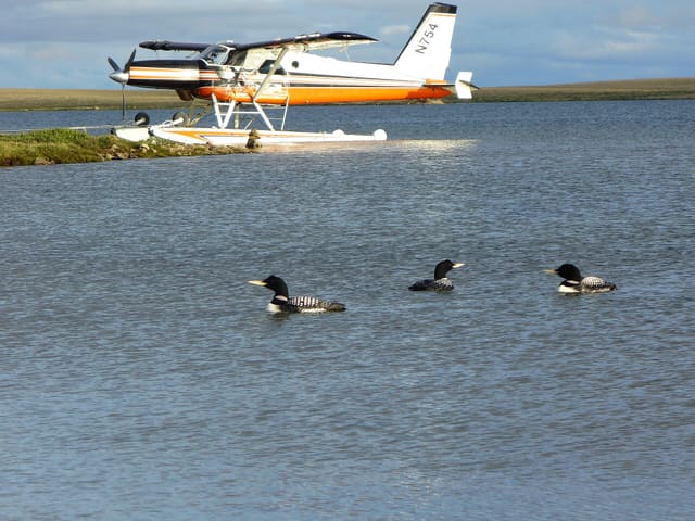 N754 - Floatplane