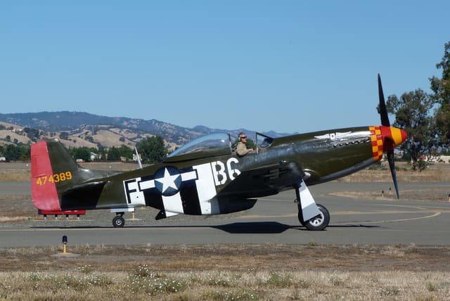 N64824 - Warbird