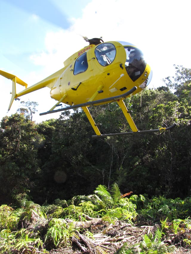 N58251 - Helicopter