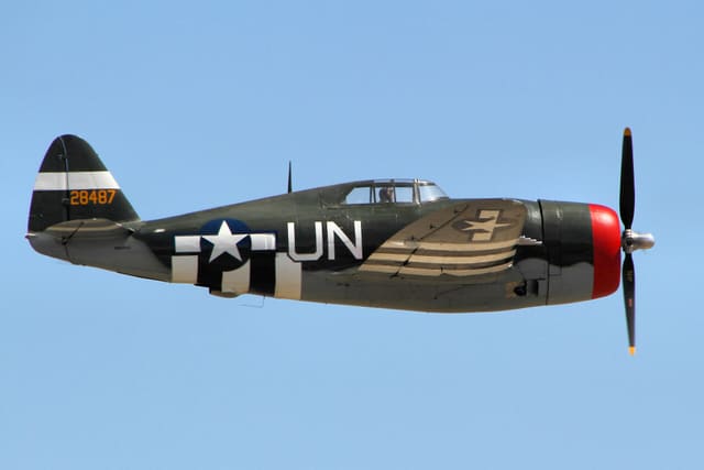  - Warbird