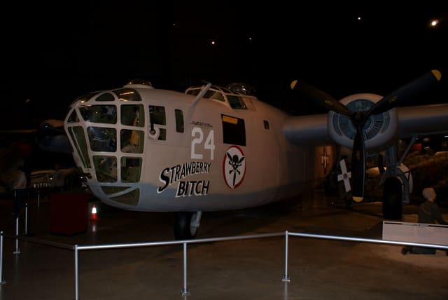  - Warbird