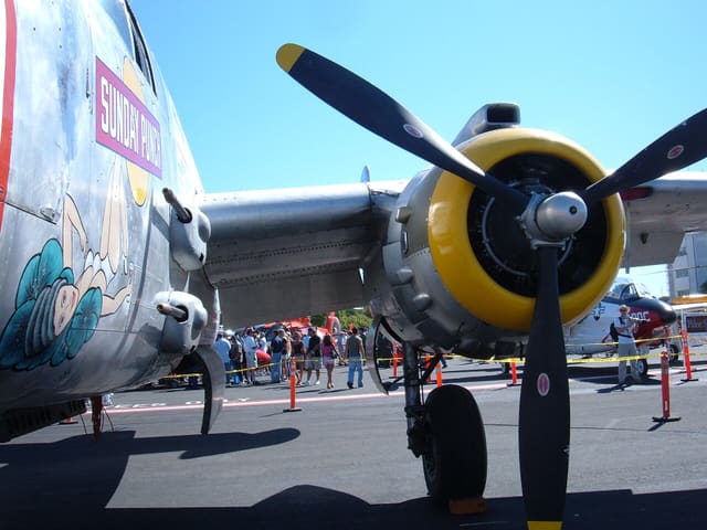  - Warbird