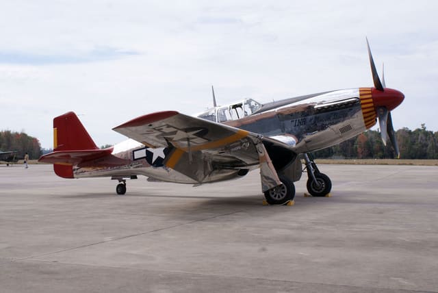  - Warbird