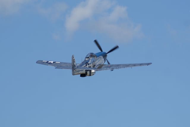  - Warbird