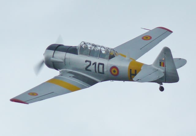 N4109C - Warbird