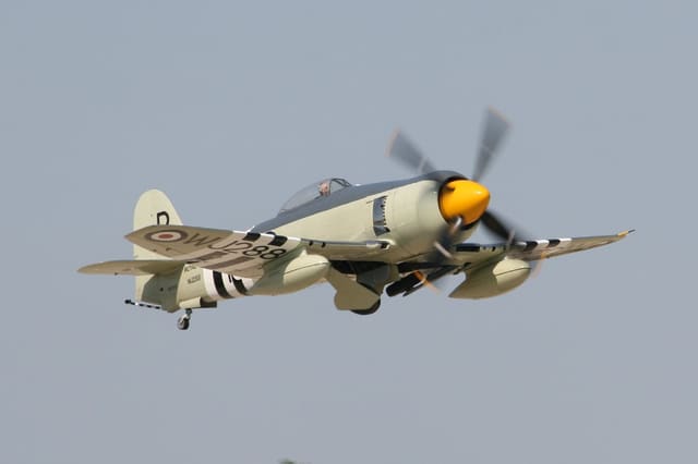  - Warbird