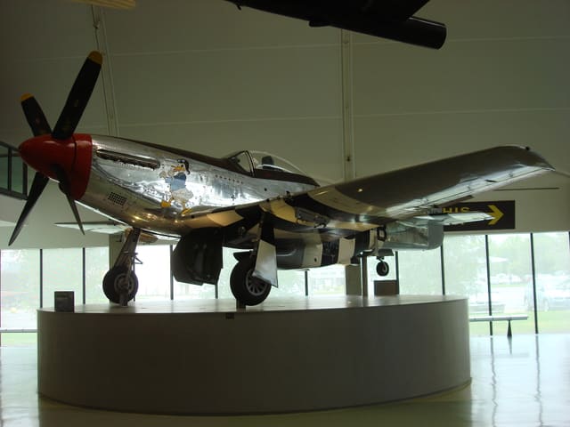 - Warbird
