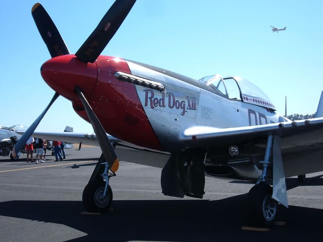  - Warbird
