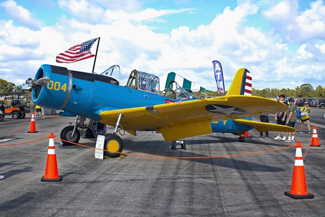 N75004 - Warbird