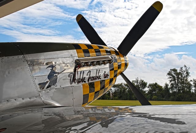  - Warbird