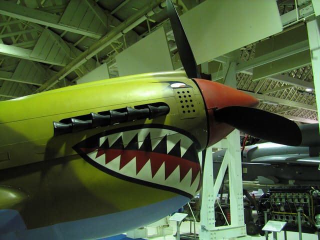  - Warbird