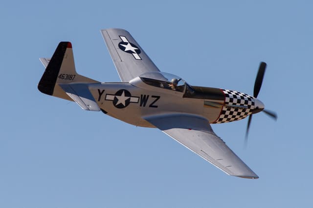  - Warbird