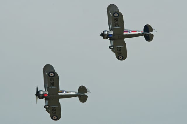 N5903 - Warbird