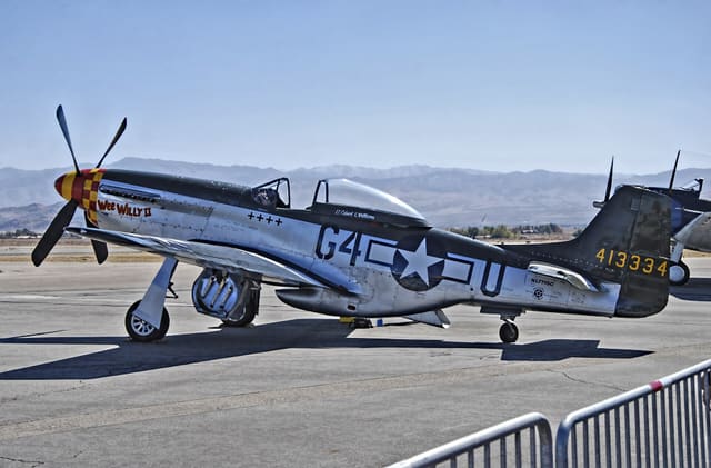  - Warbird