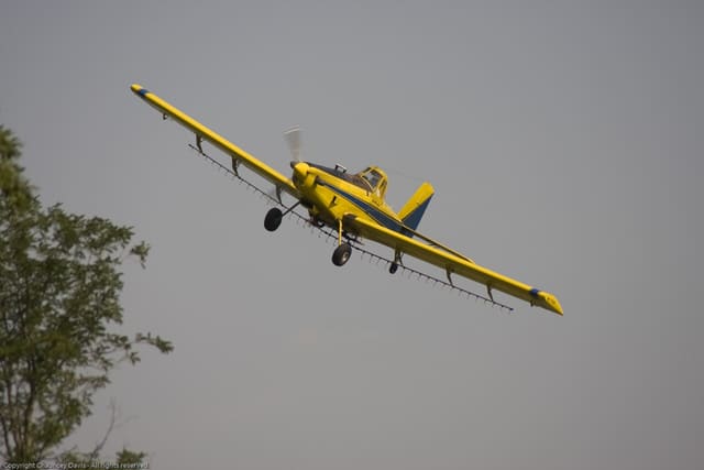 N1531G - Single-engine aircraft