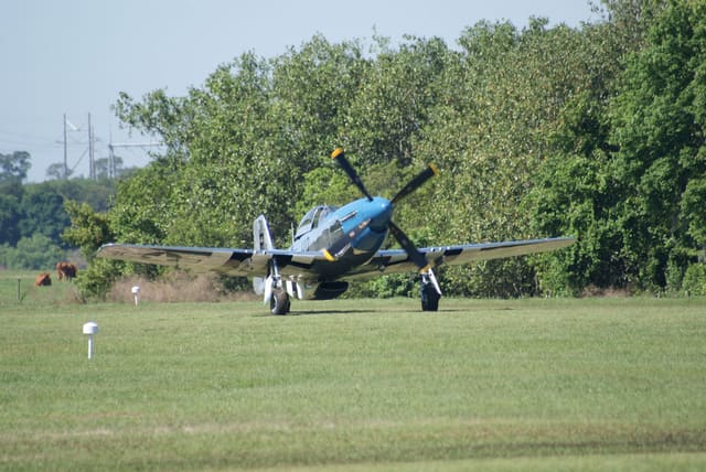  - Warbird