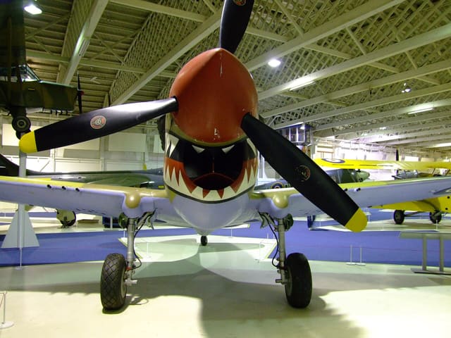  - Warbird