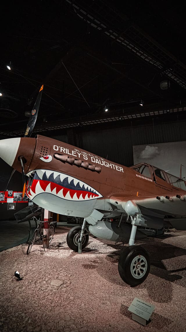  - Warbird
