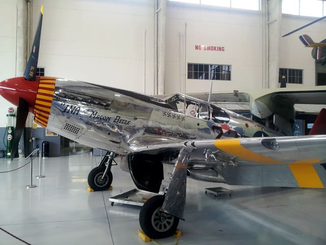 N1204 - Warbird