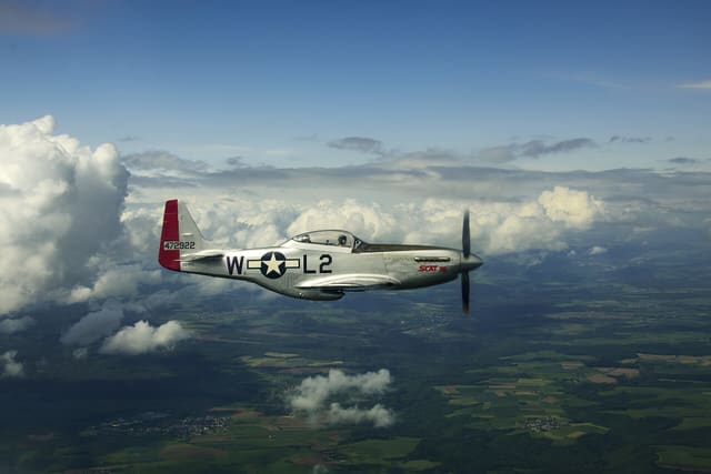  - Warbird