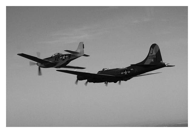  - Warbird