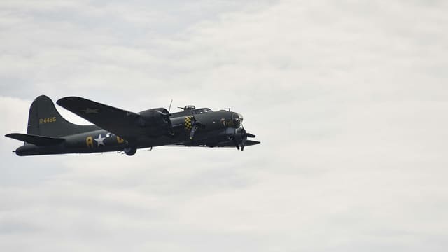 - Warbird