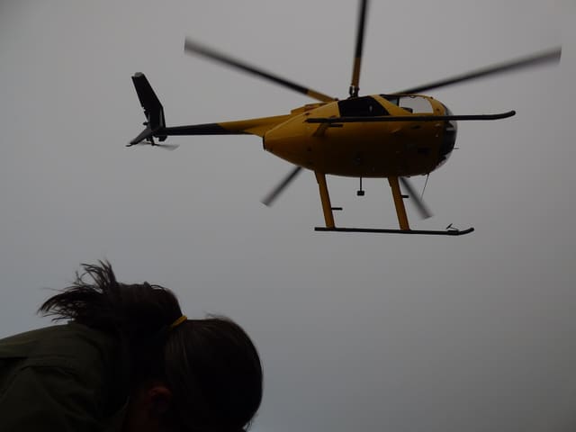 N809WA - Helicopter