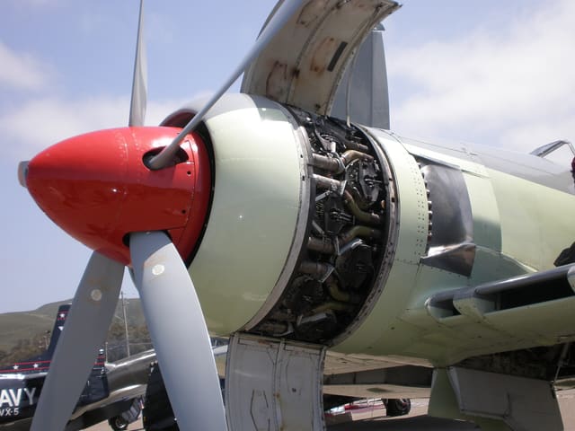  - Warbird