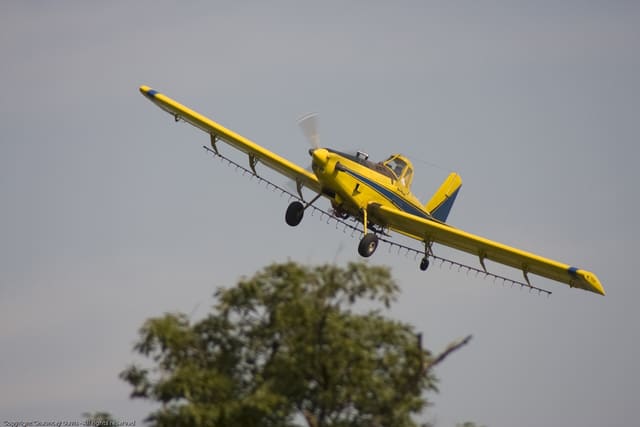 N1531G - Single-engine aircraft