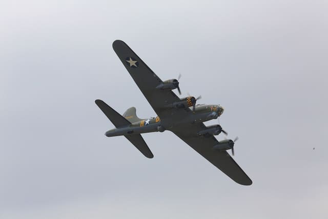  - Warbird