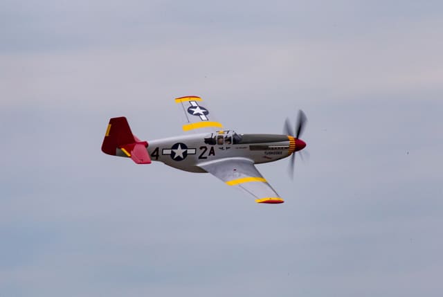  - Warbird