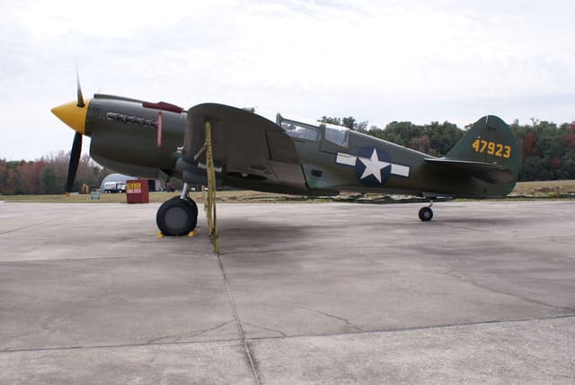  - Warbird