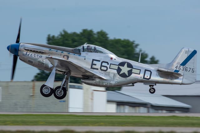 N1751D - Warbird