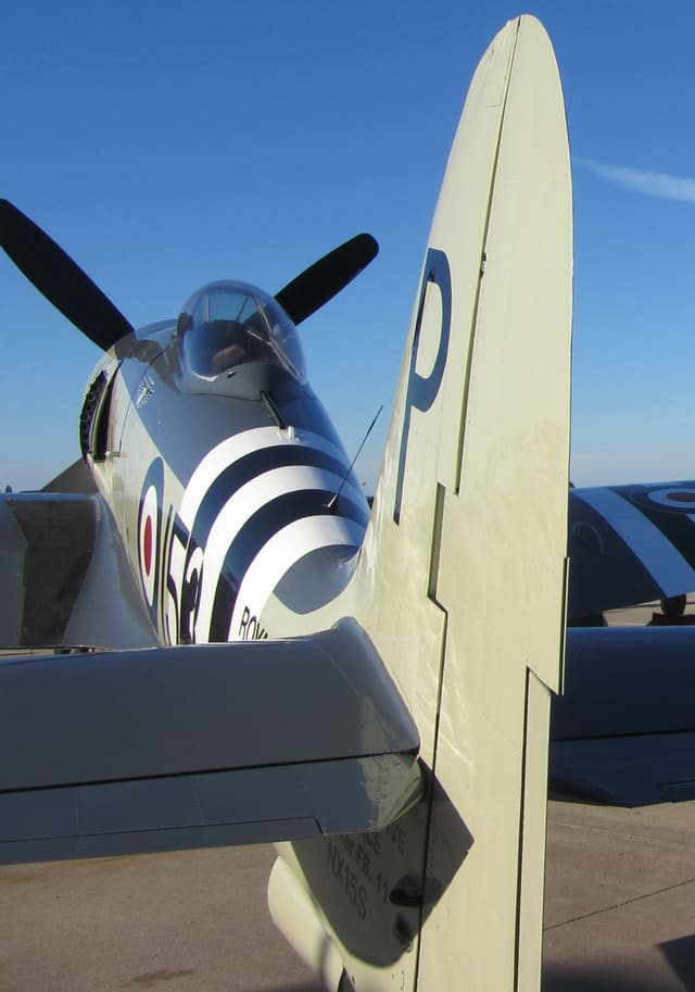  - Warbird