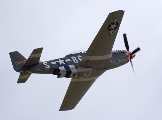  - Warbird