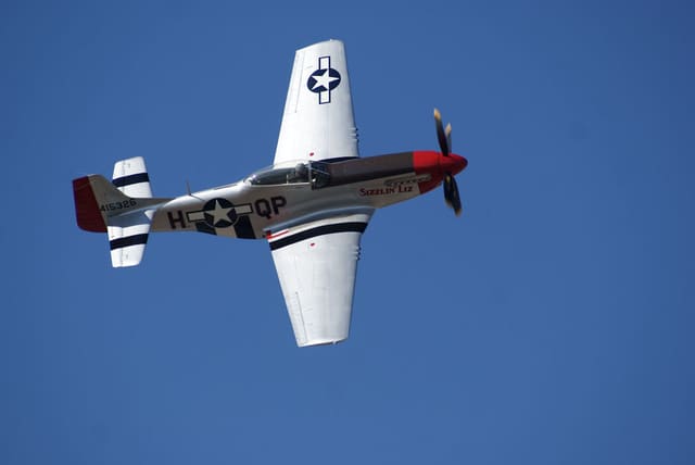  - Warbird