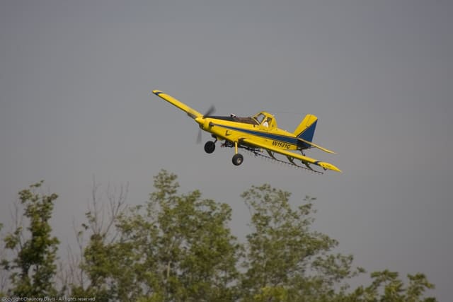 N1531G - Single-engine aircraft