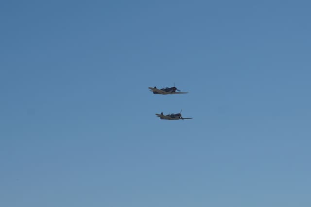 N1226N - Warbird