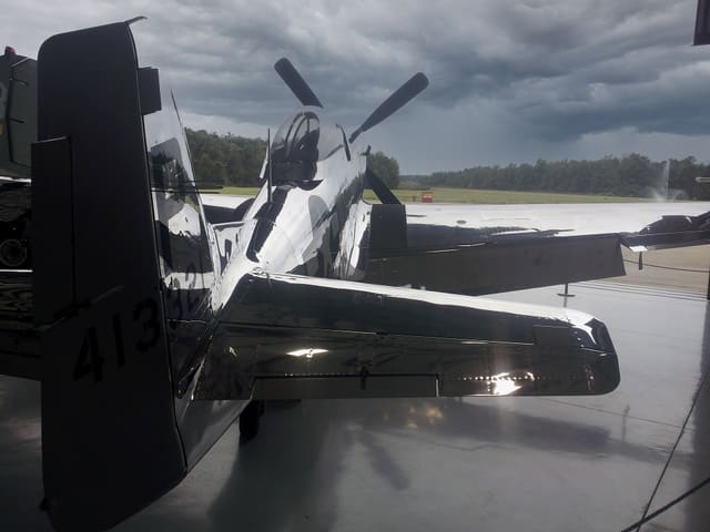 N921 - Warbird