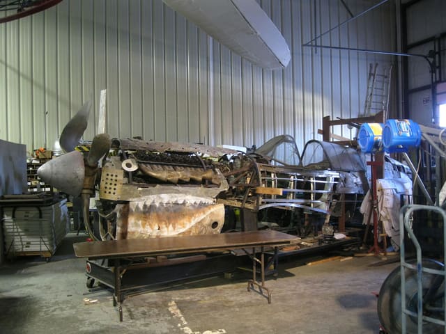  - Warbird