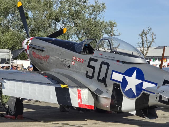  - Warbird