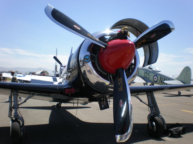 N2124X - Warbird