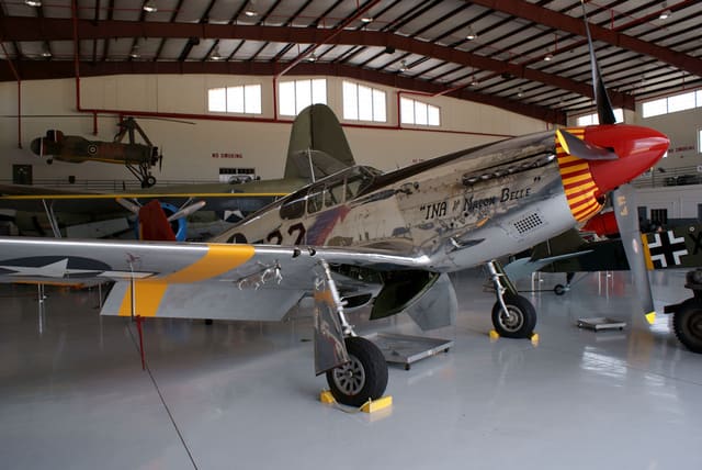  - Warbird