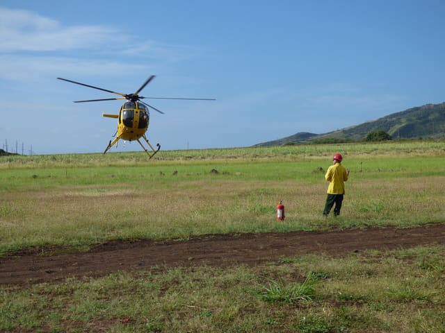 N809WA - Helicopter